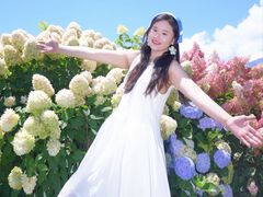 -猫米花园