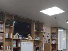 -瑞派宠物医院·24h·骨外科·皮肤科·全科宠物医疗转诊中心(沈阳浑南院)