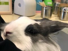 -雨林宠物医院 非犬猫异宠专科