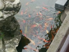 -扬州瘦西湖汇金酒店