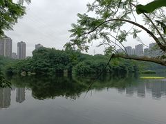 -重庆彩云湖湿地公园