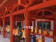 -奈良公园