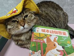 -瑞虹新天地月亮湾