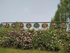 -前小桔亲子创意农场·草莓采摘·露营烧烤