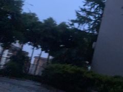 -重庆彩云湖湿地公园