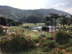 -南沙高尔夫球会