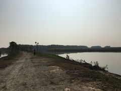 -大湾区中央湿地公园