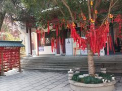 -卓刀泉寺