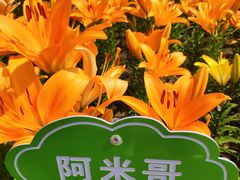 -长春公园(普阳街道)