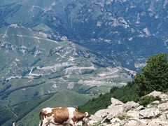 -灵山