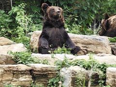 -北京野生动物园