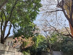 -颐和路民国时期公馆风貌区