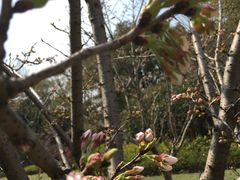 -徐家汇源景区-衡山公园