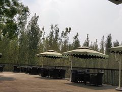 -白鹭湾湿地公园