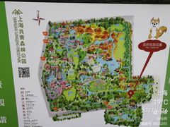-上海共青森林公园