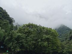 -白云源风景区