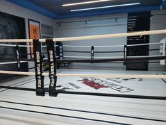 -臻元搏击格斗泰拳拳馆(港隆店)