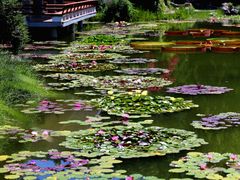 -国家植物园南园