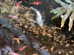 -聚缘堂·海鲜私房菜(松岭路店)