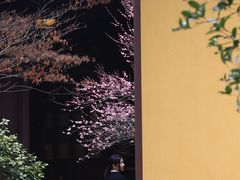 -慧因高丽寺