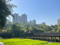 -龙头寺公园