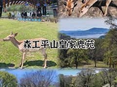 -老妈厨房团圆饺子东北菜(北环路店)