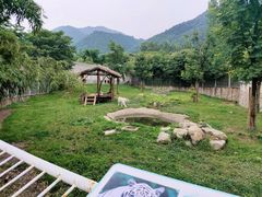 -西安秦岭野生动物园