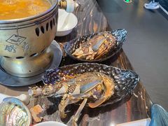 -舒友海鲜姿造(白鹭洲店)