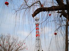 -羊亭河湿地公园