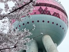 -东方明珠广播电视塔