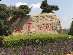 门面-洛龙公园