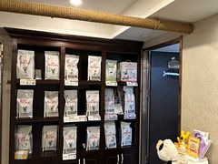 -宠爱国际动物医院·消化内科·心肾内科·ISFM猫友好(望京店)