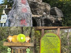 -大岭沟猕猴桃谷风景区