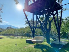 -福建鲤鱼洲酒店