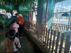 -昆明大悦城未来动物城(螺蛳湾中心店)