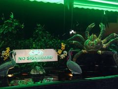 -無招牌海鮮(芽笼店)