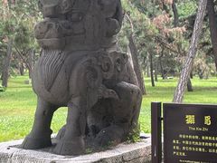 -北陵公园
