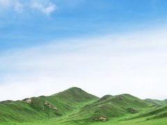 -郭莽湿地