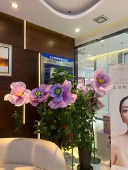 点击看大图 -洁铭新加坡医美