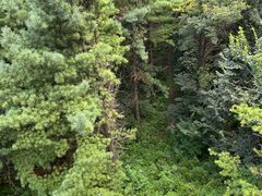 -长春净月潭风景名胜区