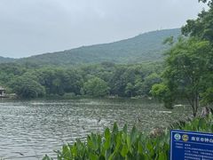 -紫霞湖公园