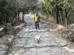 -阳台山自然风景区