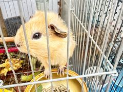-苦尽酒馆·川菜(鼓楼店)