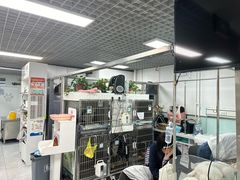 -达爱动物医院·犬猫分区·CT·复杂眼科(远洋山水分院)