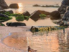 -海驴岛(荣成市)