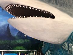 -多彩贵州城极地海洋世界