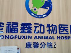 -宠福鑫康馨动物医院·骨科·眼科