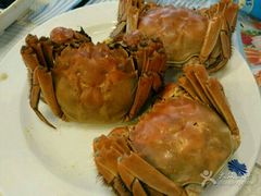 -银鲨国际美食百汇(金牛万达广场店)