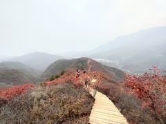-水峪民俗村