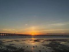 -宝安西湾红树林湿地公园